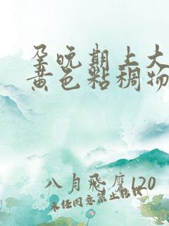 孕晚期上大号有黄色粘稠物分泌物