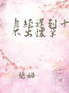 月经迟到十天测不出怀孕