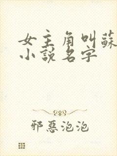 女主角叫苏黎的小说名字