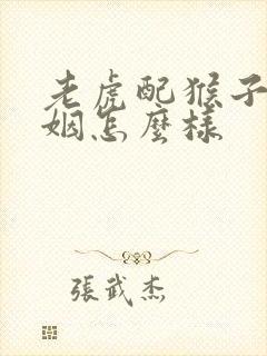 老虎配猴子的婚姻怎么样