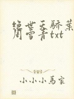 绝世天骄叶凌天周雪青txt