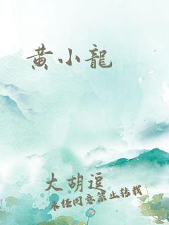 黄小龙