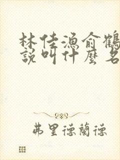 林佳渔俞鹤舟小说叫什么名字