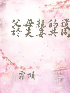 父母亲的遗产属于夫妻共同财产吗