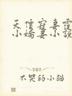 天价宠妻霍总的小娇妻小说免费阅读