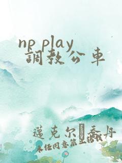 np play 调教公车