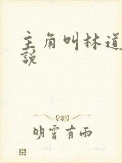 主角叫林道的小说