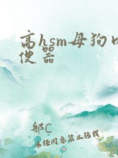 高hsm母狗肉便器