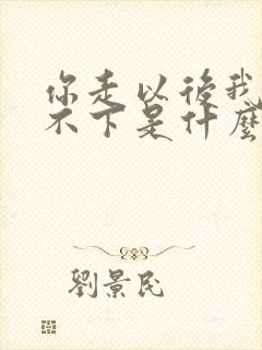 你走以后我还放不下是什么歌