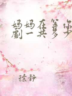 妈妈在等你电视剧一共多少集