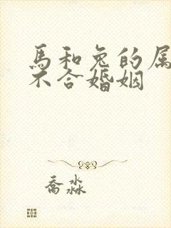 马和兔的属相合不合婚姻