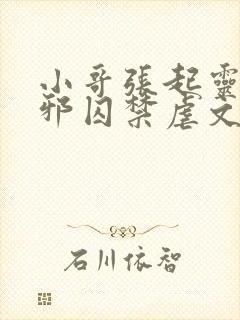 小哥张起灵被吴邪囚禁虐文