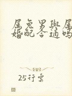 属兔男与属蛇女婚配合适吗