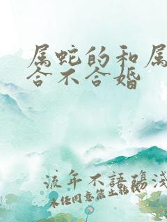 属蛇的和属羊的合不合婚