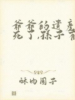 爷爷的遗产儿子死了,孙子有继承权