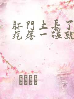 肛门上长了个硬疙瘩一碰就疼