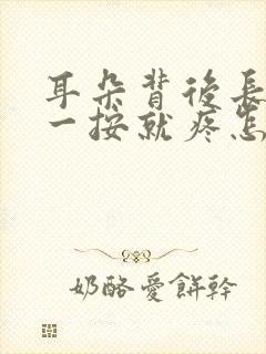 耳朵背后长个包一按就疼怎么办