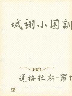 城翊小圈训诫文