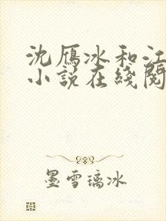 沈雁冰和江建忠小说在线阅读