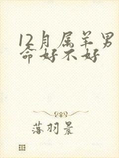 12月属羊男人命好不好