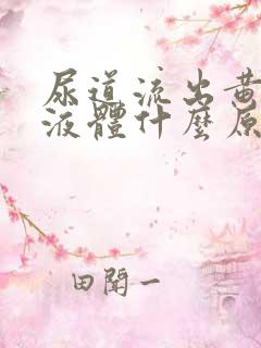 尿道流出黄色的液体什么原因