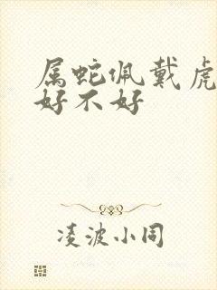 属蛇佩戴虎饰品好不好