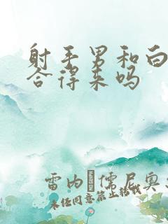 射手男和白羊女合得来吗