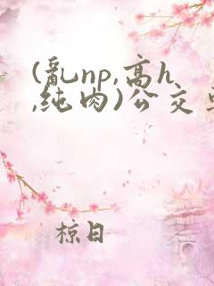 (乱np,高h,纯肉)公交车群p