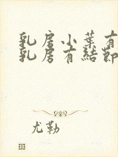 乳房小叶有增生乳房有结节