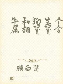 牛和狗生个什么属相宝宝合适