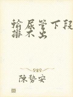 输尿管下段结石排不出