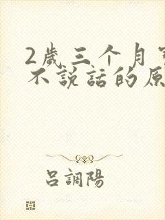 2岁三个月宝宝不说话的原因