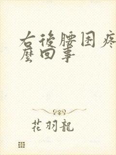 右后腰困疼是怎么回事