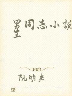 男同志小说体育生