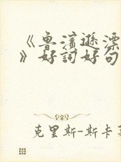 《鲁滨逊漂流记》好词好句