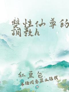 双性仙尊的淫虐调教h