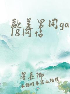 欧美男同gay18网站