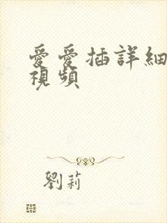 爱爱插详细过程视频