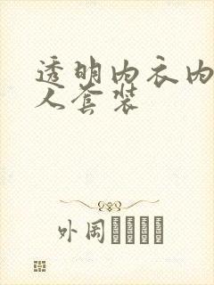 透明内衣内裤女人套装