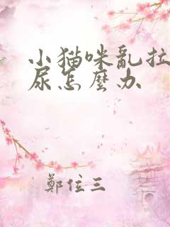 小猫咪乱拉屎拉尿怎么办