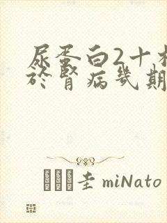 尿蛋白2十相当于肾病几期