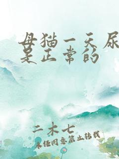 母猫一天尿几次是正常的