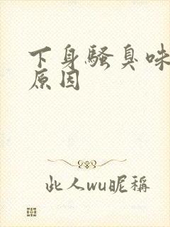 下身骚臭味什么原因