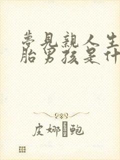 梦见亲人生双胞胎男孩是什么意思