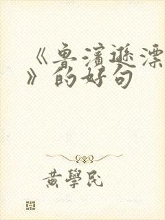 《鲁滨逊漂流记》的好句