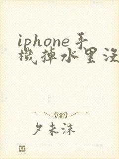 iphone手机掉水里没声音了怎么办