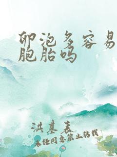 卵泡多容易怀双胞胎吗