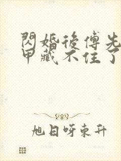 闪婚后傅先生马甲藏不住了59集