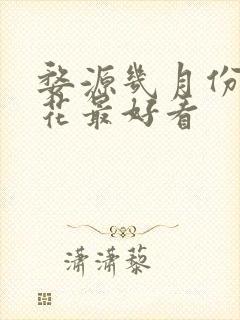 婺源几月份油菜花最好看