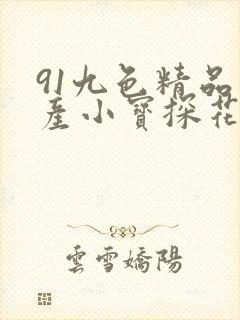 91九色精品国产小宝探花